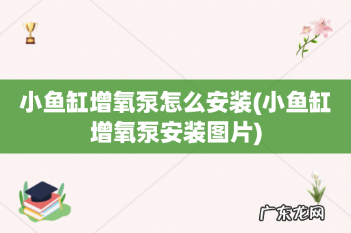 小鱼缸增氧泵安装图片 小鱼缸增氧泵怎么安装