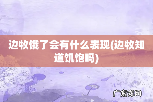 边牧知道饥饱吗 边牧饿了会有什么表现