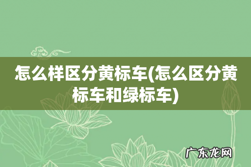 怎么区分黄标车和绿标车 怎么样区分黄标车