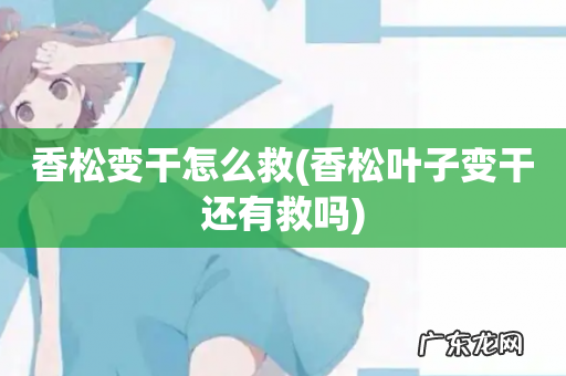 香松叶子变干还有救吗 香松变干怎么救
