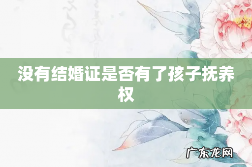 没有结婚证是否有了孩子抚养权