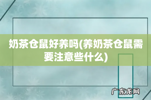 养奶茶仓鼠需要注意些什么 奶茶仓鼠好养吗