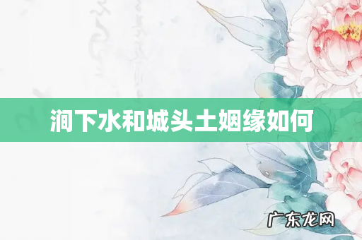 涧下水和城头土姻缘如何