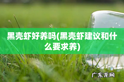 黑壳虾建议和什么要求养 黑壳虾好养吗