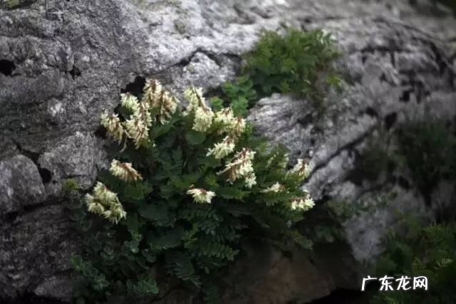 广西十大风水宝地山图 大山风水宝地图片大全