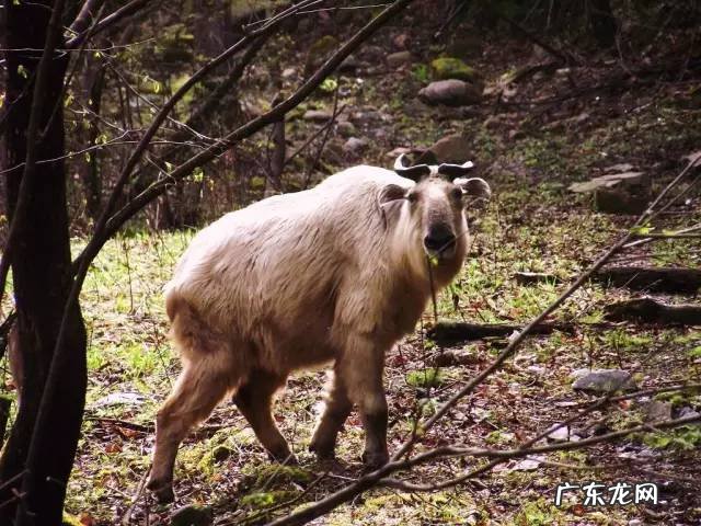 广西十大风水宝地山图 大山风水宝地图片大全