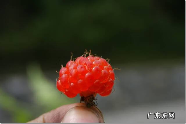 广西十大风水宝地山图 大山风水宝地图片大全