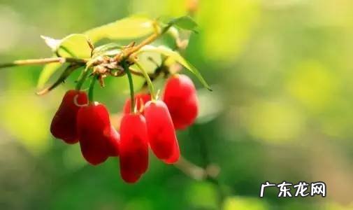 广西十大风水宝地山图 大山风水宝地图片大全