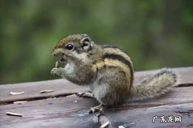 广西十大风水宝地山图 大山风水宝地图片大全