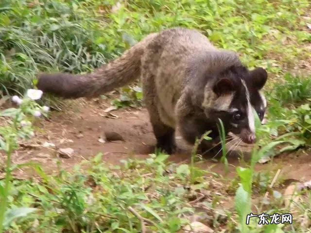 广西十大风水宝地山图 大山风水宝地图片大全