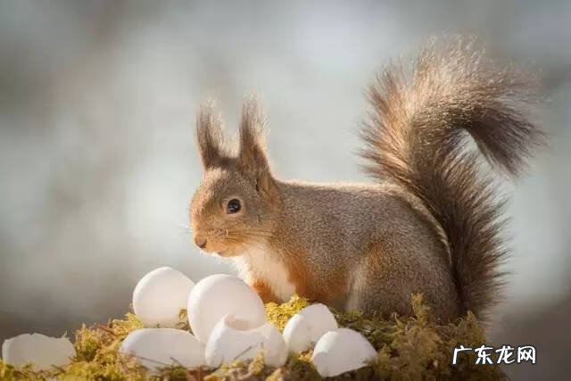广西十大风水宝地山图 大山风水宝地图片大全