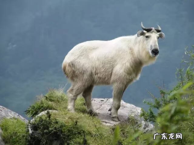 广西十大风水宝地山图 大山风水宝地图片大全