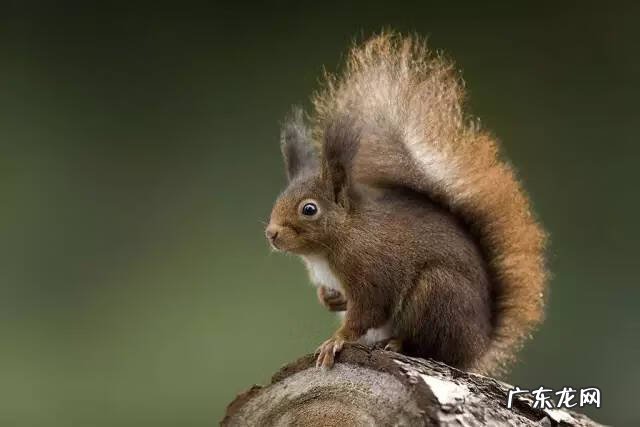 广西十大风水宝地山图 大山风水宝地图片大全