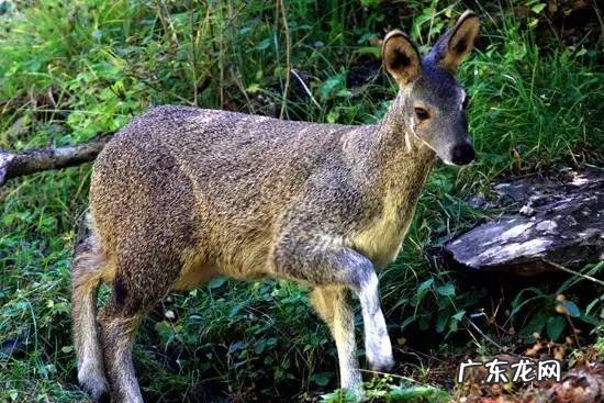 广西十大风水宝地山图 大山风水宝地图片大全