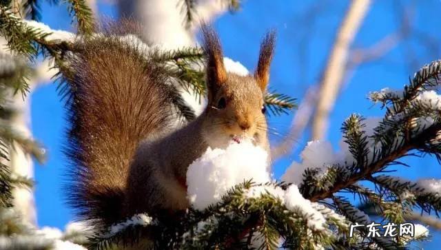 广西十大风水宝地山图 大山风水宝地图片大全