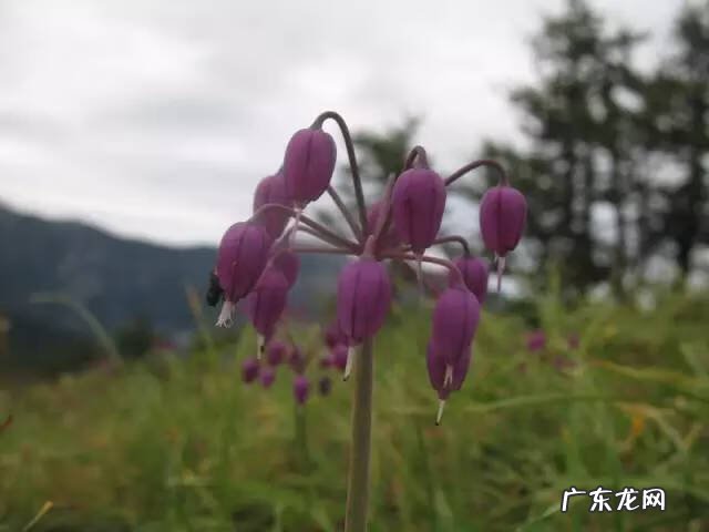 广西十大风水宝地山图 大山风水宝地图片大全