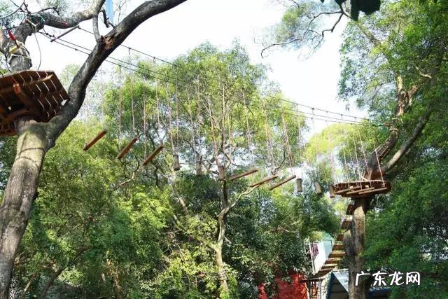 广西十大风水宝地山图 大山风水宝地图片大全