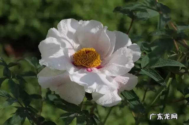 广西十大风水宝地山图 大山风水宝地图片大全