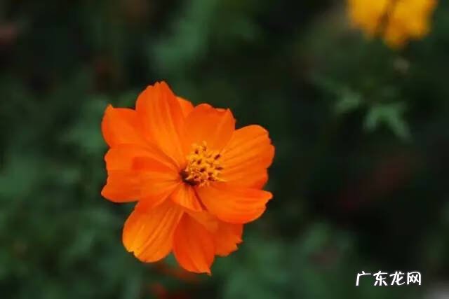 广西十大风水宝地山图 大山风水宝地图片大全