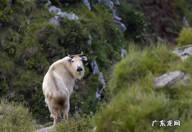 广西十大风水宝地山图 大山风水宝地图片大全