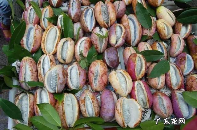 广西十大风水宝地山图 大山风水宝地图片大全