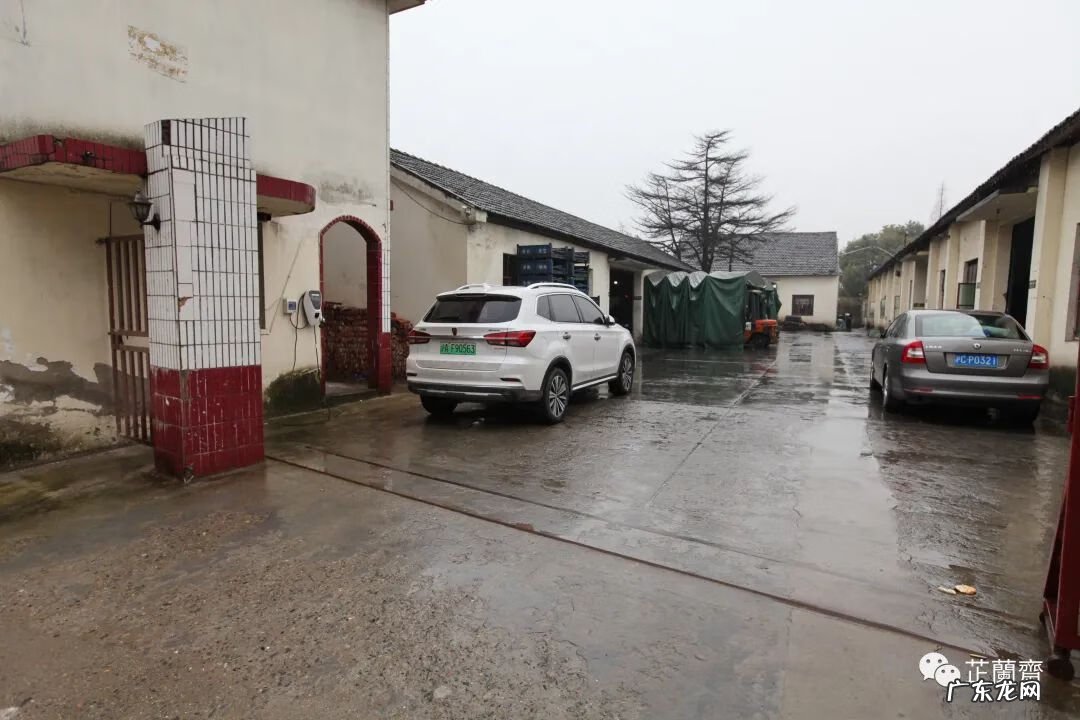 祖坟风水通天蜡烛地 杨公风水通天蜡烛出什么