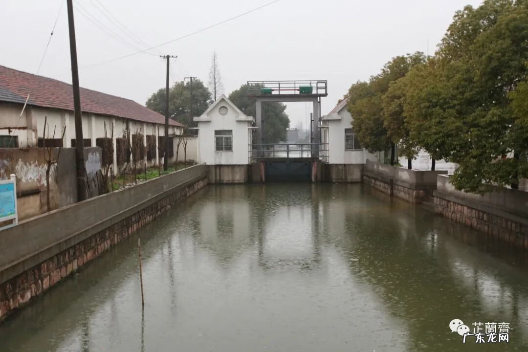 祖坟风水通天蜡烛地 杨公风水通天蜡烛出什么