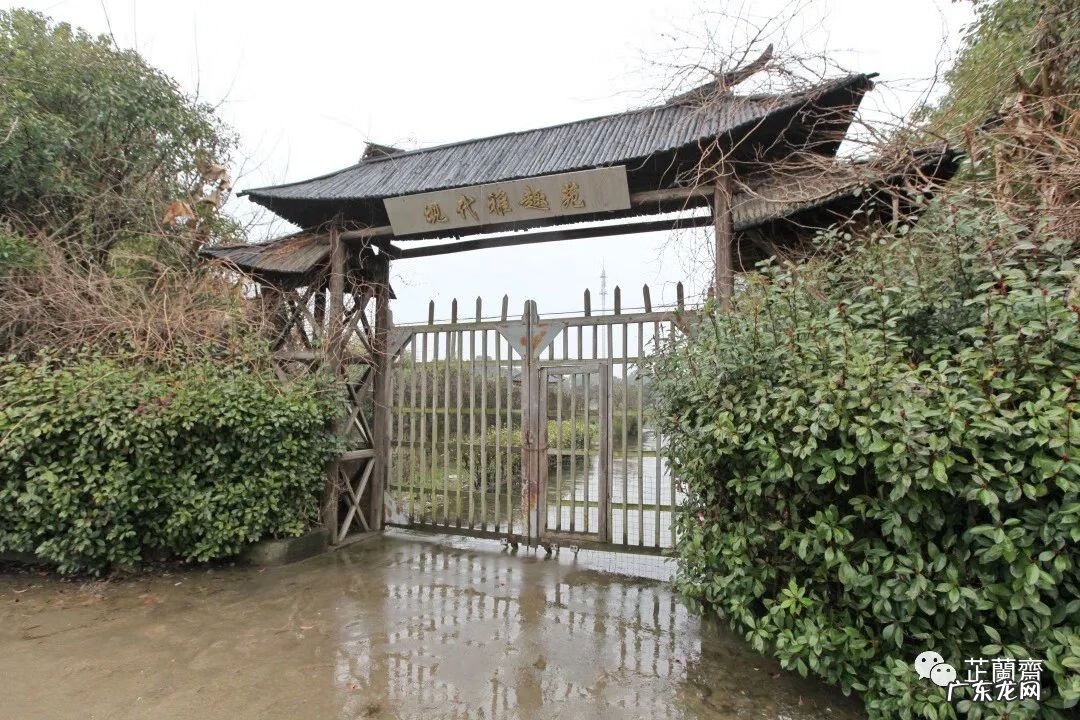 祖坟风水通天蜡烛地 杨公风水通天蜡烛出什么