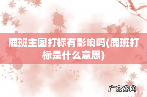 鹿班打标是什么意思 鹿班主图打标有影响吗