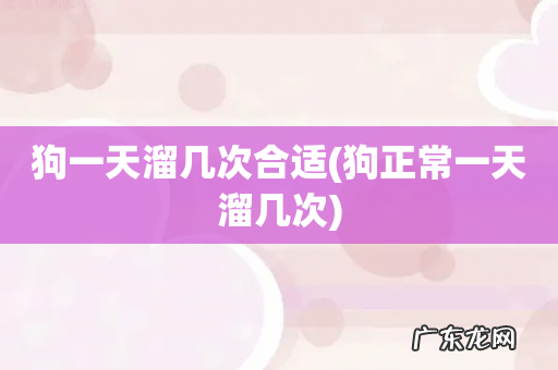 狗正常一天溜几次 狗一天溜几次合适