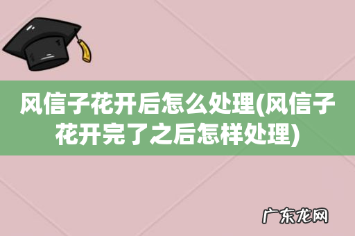 风信子花开完了之后怎样处理 风信子花开后怎么处理