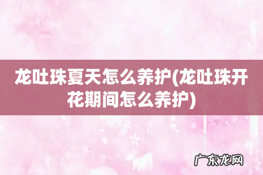 龙吐珠开花期间怎么养护 龙吐珠夏天怎么养护