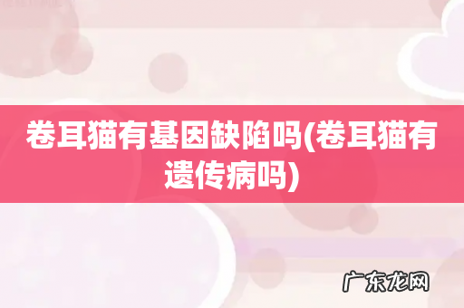 卷耳猫有遗传病吗 卷耳猫有基因缺陷吗