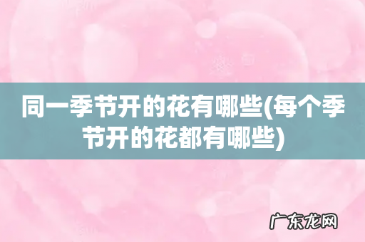 每个季节开的花都有哪些 同一季节开的花有哪些