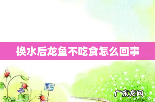 换水后龙鱼不吃食怎么回事