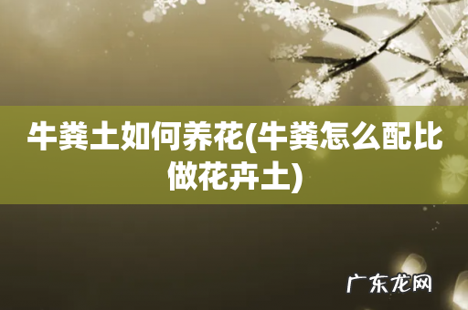 牛粪怎么配比做花卉土 牛粪土如何养花