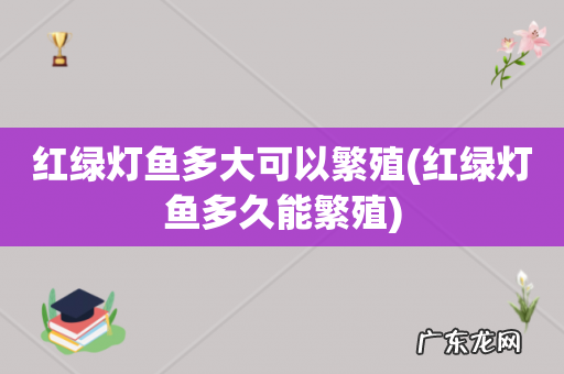 红绿灯鱼多久能繁殖 红绿灯鱼多大可以繁殖