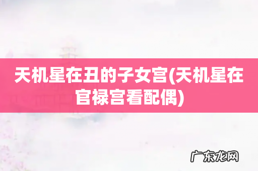 天机星在官禄宫看配偶 天机星在丑的子女宫