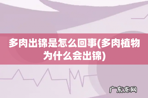 多肉植物为什么会出锦 多肉出锦是怎么回事