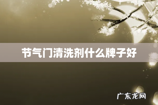 节气门清洗剂什么牌子好