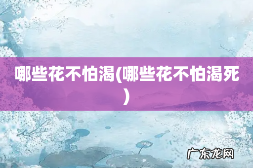 哪些花不怕渴死 哪些花不怕渴