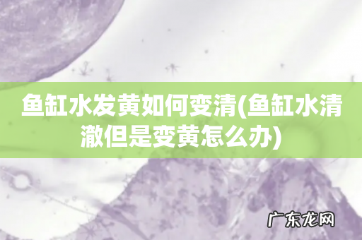 鱼缸水清澈但是变黄怎么办 鱼缸水发黄如何变清