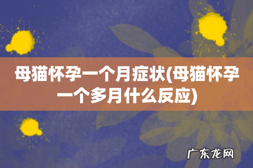 母猫怀孕一个多月什么反应 母猫怀孕一个月症状
