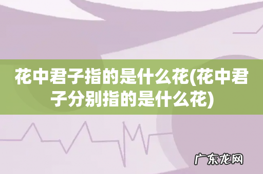 花中君子分别指的是什么花 花中君子指的是什么花