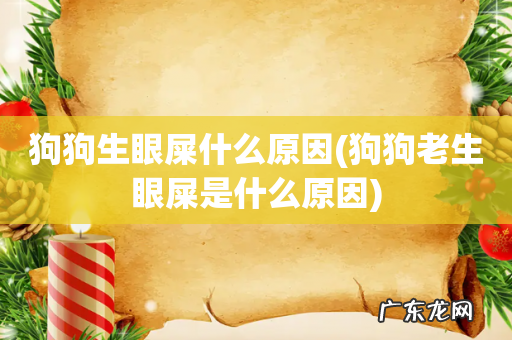 狗狗老生眼屎是什么原因 狗狗生眼屎什么原因