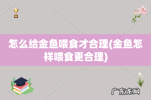 金鱼怎样喂食更合理 怎么给金鱼喂食才合理