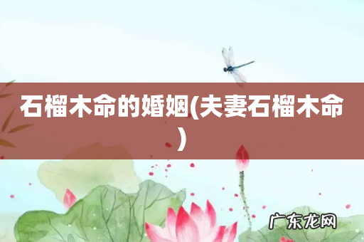 夫妻石榴木命 石榴木命的婚姻