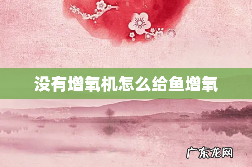 没有增氧机怎么给鱼增氧