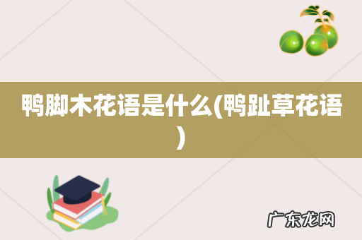 鸭趾草花语 鸭脚木花语是什么