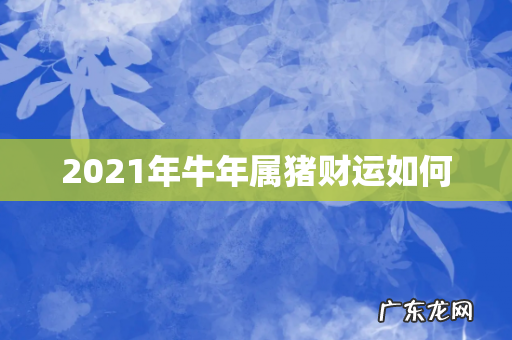 2021年牛年属猪财运如何